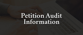 Petition Audit Information